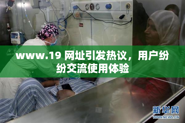 www.19 网址引发热议，用户纷纷交流使用体验