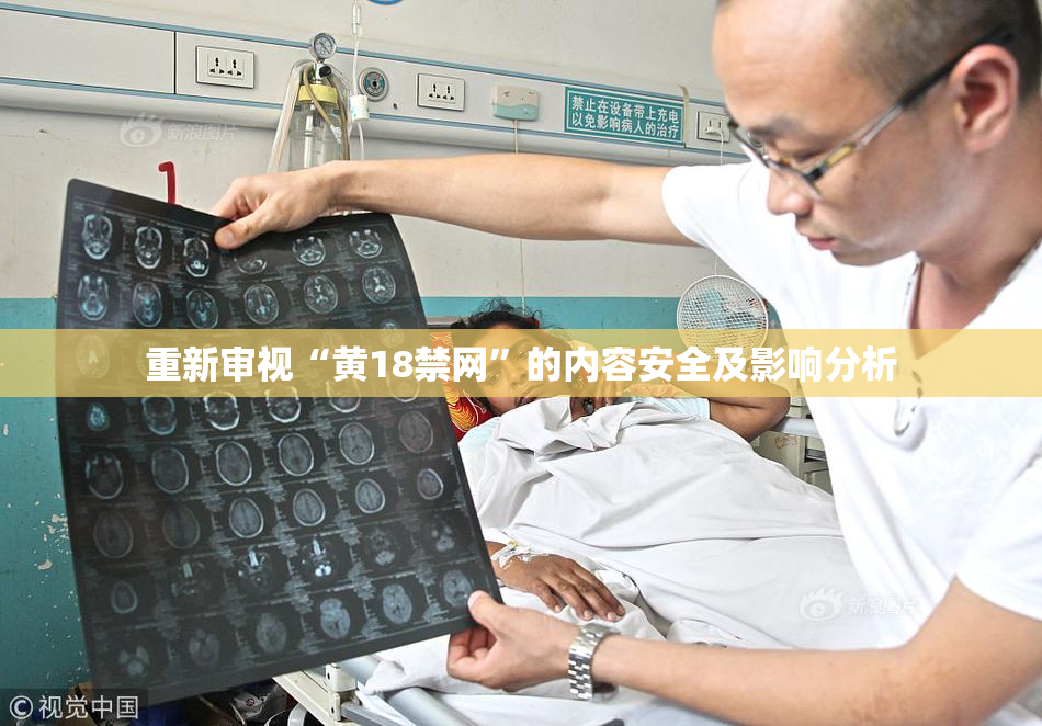 重新审视“黄18禁网”的内容安全及影响分析