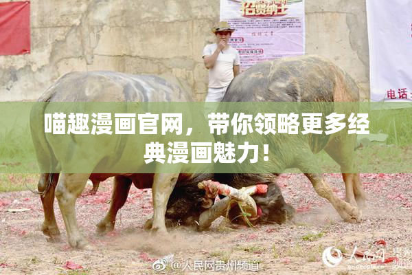 喵趣漫画官网，带你领略更多经典漫画魅力！