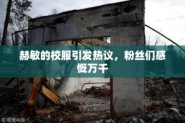 赫敏的校服引发热议，粉丝们感慨万千