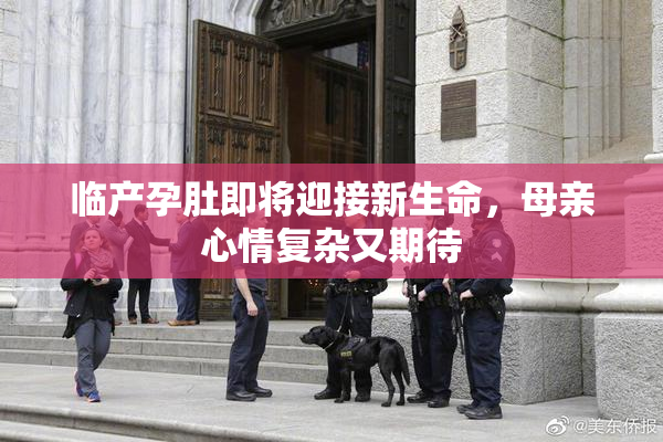 临产孕肚即将迎接新生命，母亲心情复杂又期待