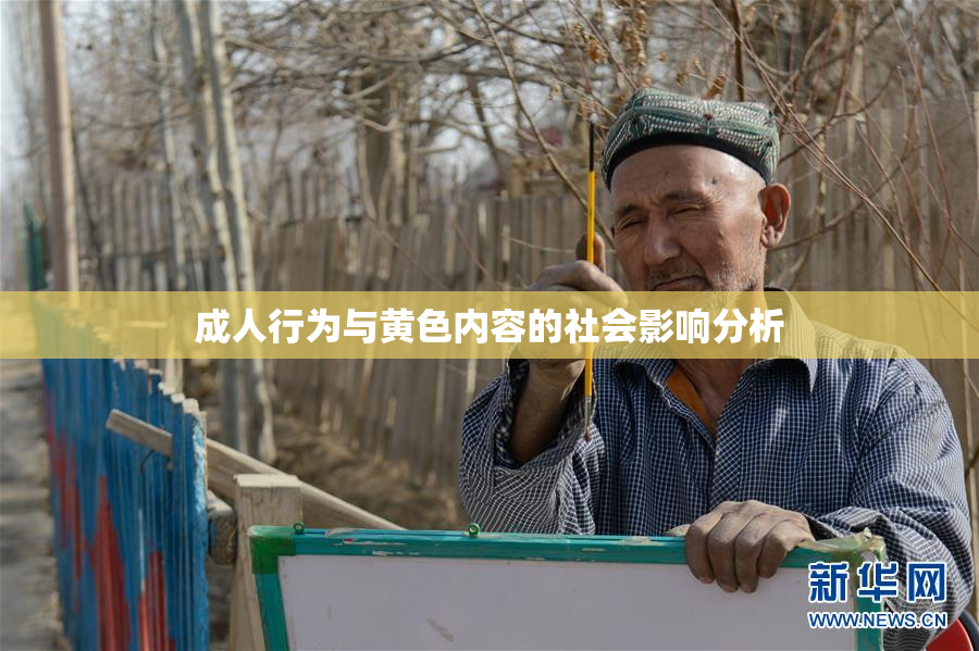 成人行为与黄色内容的社会影响分析