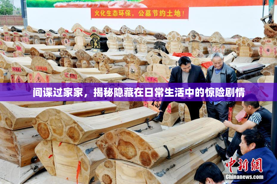 间谍过家家，揭秘隐藏在日常生活中的惊险剧情
