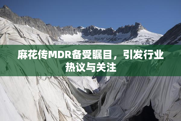 麻花传MDR备受瞩目，引发行业热议与关注