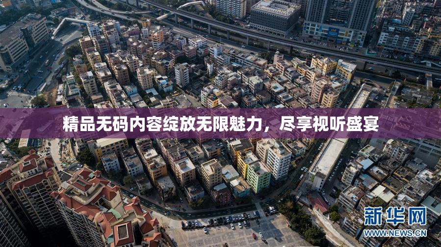 精品无码内容绽放无限魅力，尽享视听盛宴