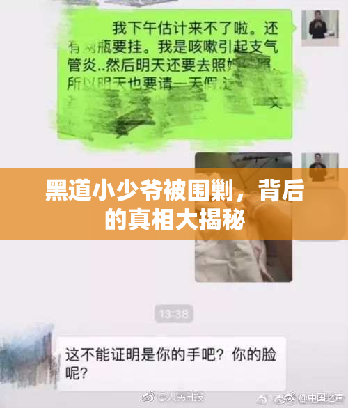 黑道小少爷被围剿，背后的真相大揭秘