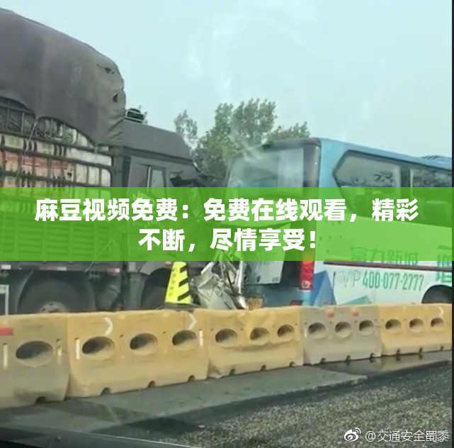 麻豆视频免费：免费在线观看，精彩不断，尽情享受！
