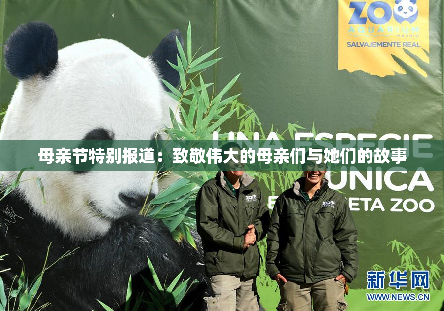 母亲节特别报道：致敬伟大的母亲们与她们的故事