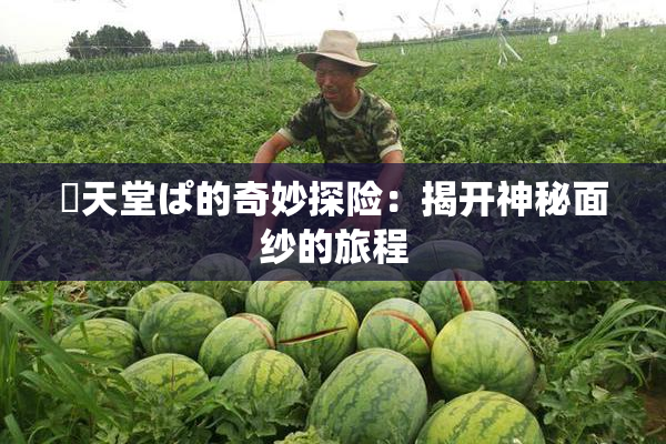 妺天堂ぱ的奇妙探险：揭开神秘面纱的旅程