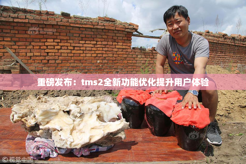 重磅发布：tms2全新功能优化提升用户体验