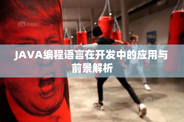 JAVA编程语言在开发中的应用与前景解析