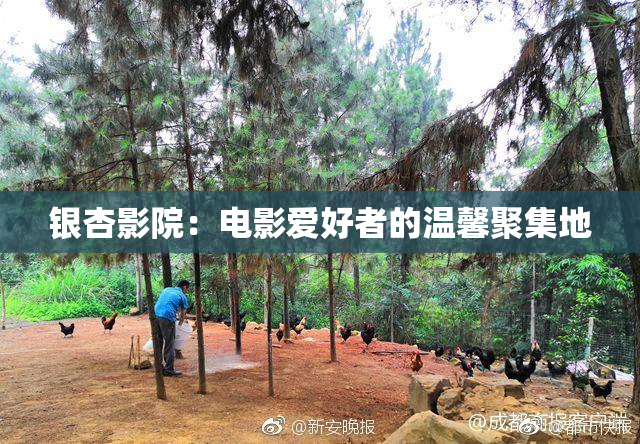 银杏影院：电影爱好者的温馨聚集地