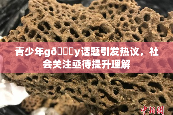 青少年g🈚y话题引发热议，社会关注亟待提升理解