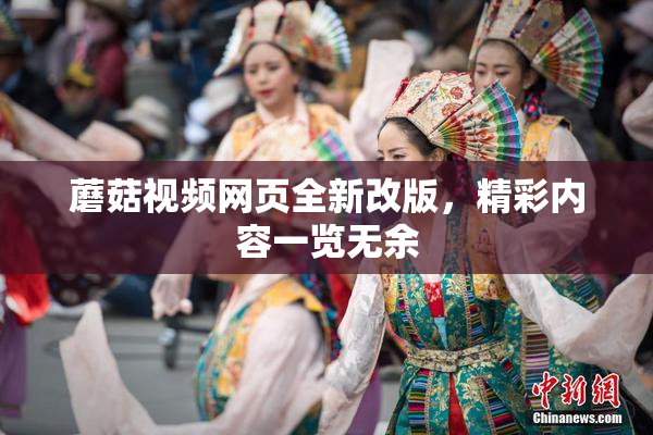蘑菇视频网页全新改版，精彩内容一览无余