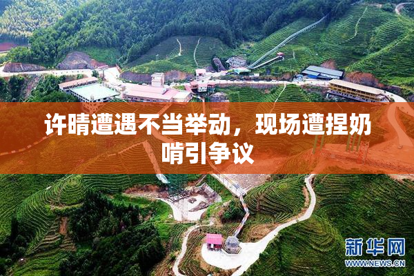 许晴遭遇不当举动，现场遭捏奶啃引争议
