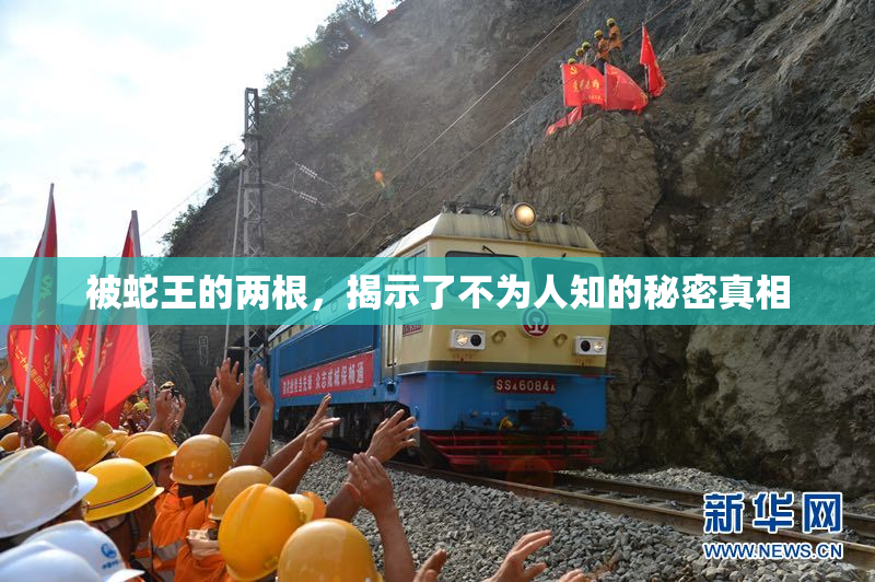 被蛇王的两根，揭示了不为人知的秘密真相