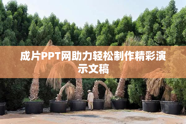 成片PPT网助力轻松制作精彩演示文稿