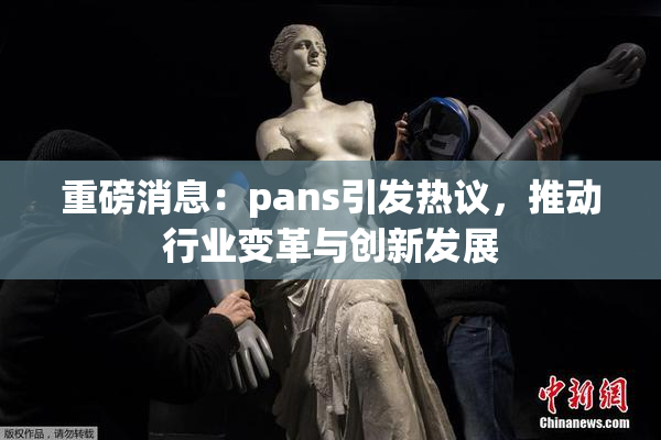 重磅消息：pans引发热议，推动行业变革与创新发展