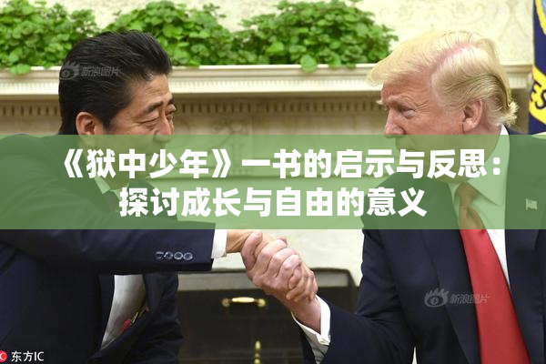 《狱中少年》一书的启示与反思：探讨成长与自由的意义
