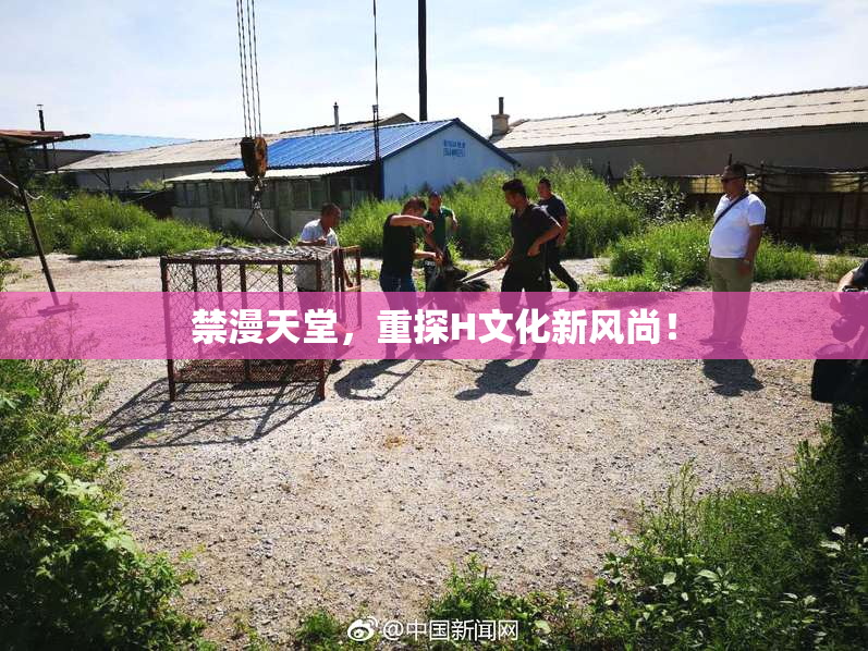 禁漫天堂，重探H文化新风尚！
