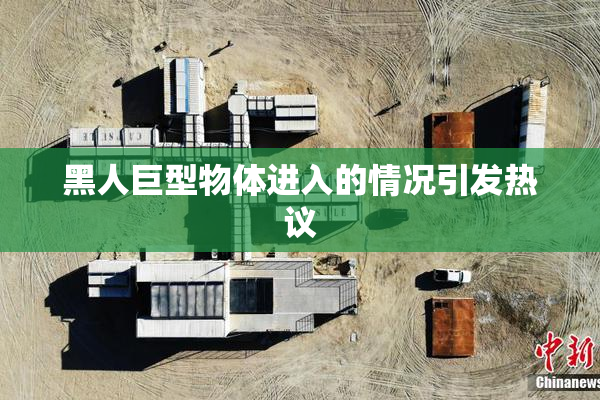 黑人巨型物体进入的情况引发热议