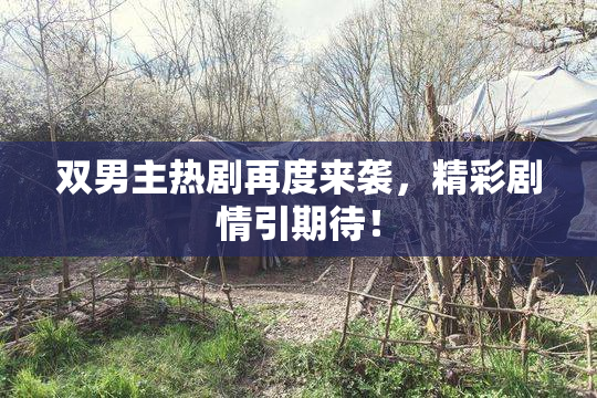 双男主热剧再度来袭，精彩剧情引期待！