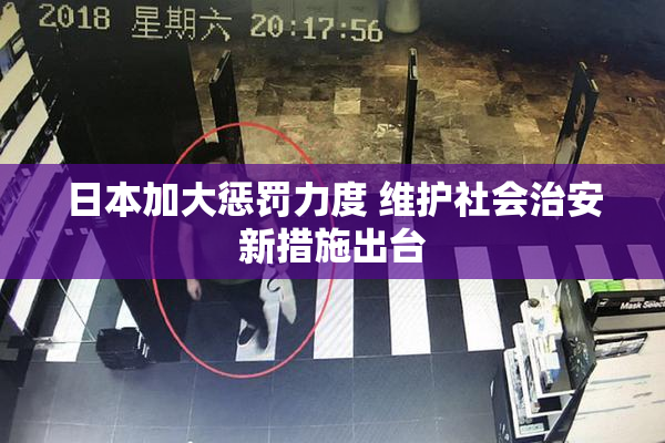 日本加大惩罚力度 维护社会治安新措施出台