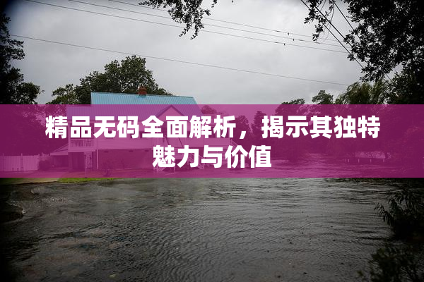 精品无码全面解析，揭示其独特魅力与价值
