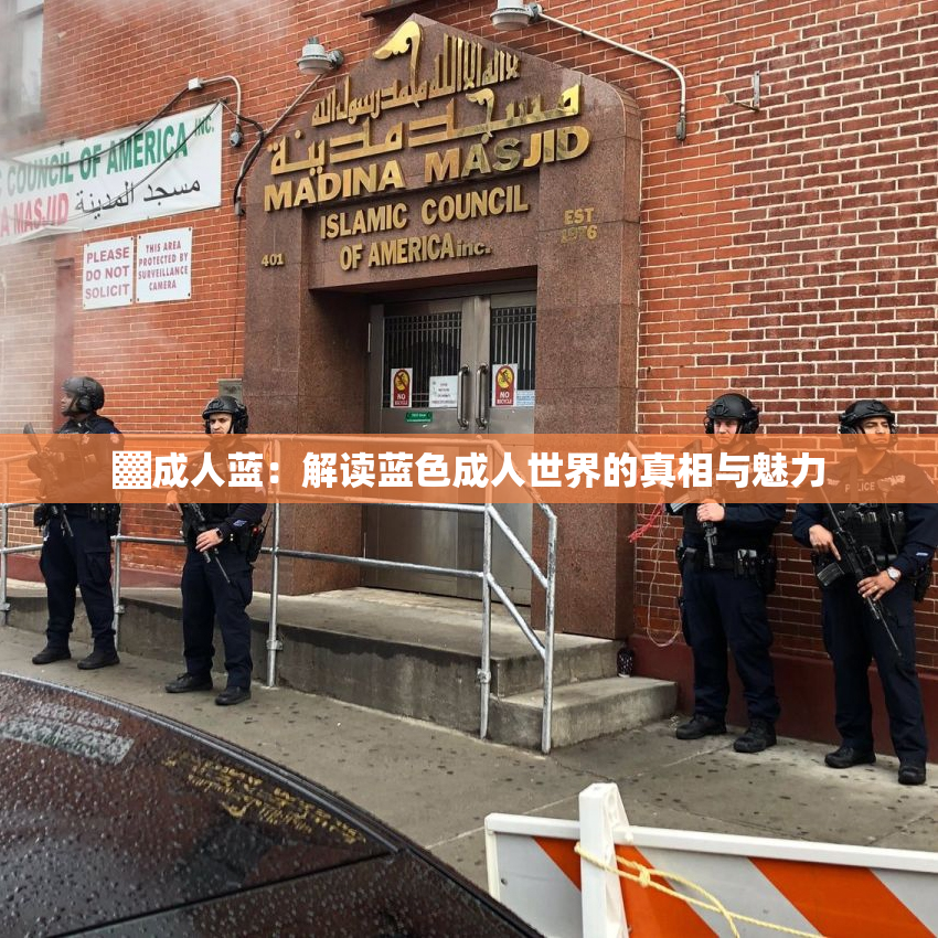 ▓成人蓝：解读蓝色成人世界的真相与魅力