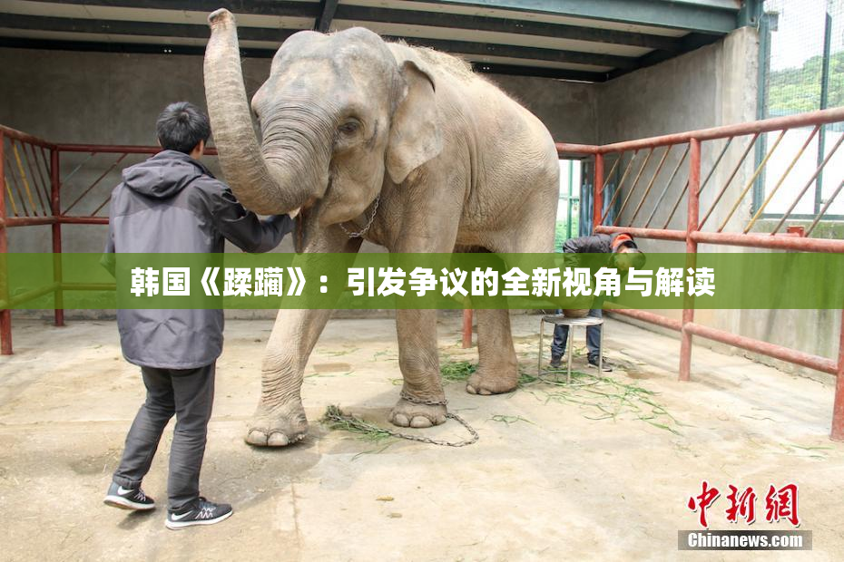 韩国《蹂躏》：引发争议的全新视角与解读
