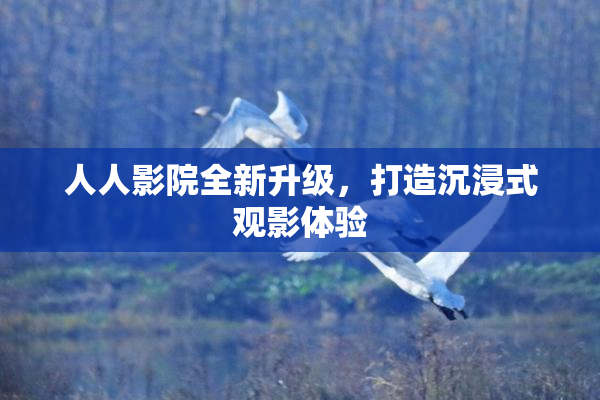 人人影院全新升级，打造沉浸式观影体验