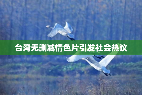 台湾无删减情色片引发社会热议
