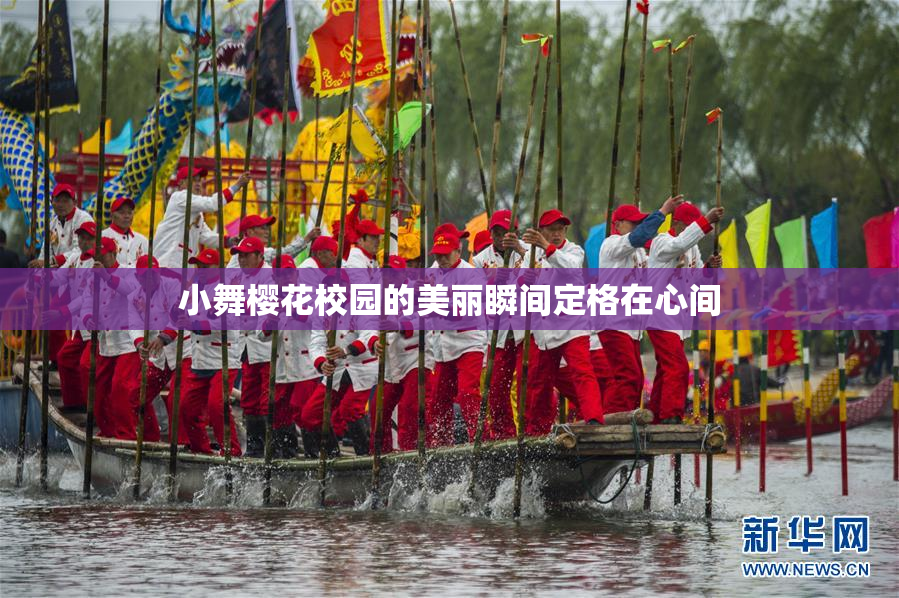 小舞樱花校园的美丽瞬间定格在心间