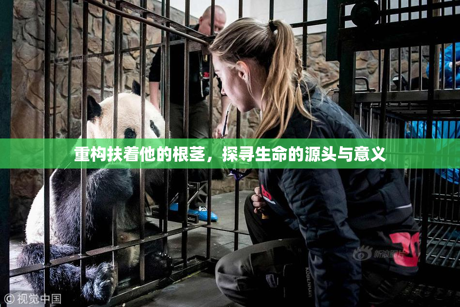 重构扶着他的根茎，探寻生命的源头与意义
