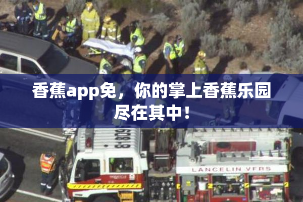 香蕉app免，你的掌上香蕉乐园尽在其中！