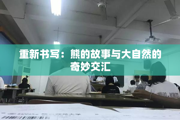 重新书写：熊的故事与大自然的奇妙交汇