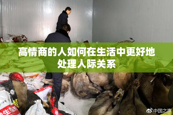 高情商的人如何在生活中更好地处理人际关系
