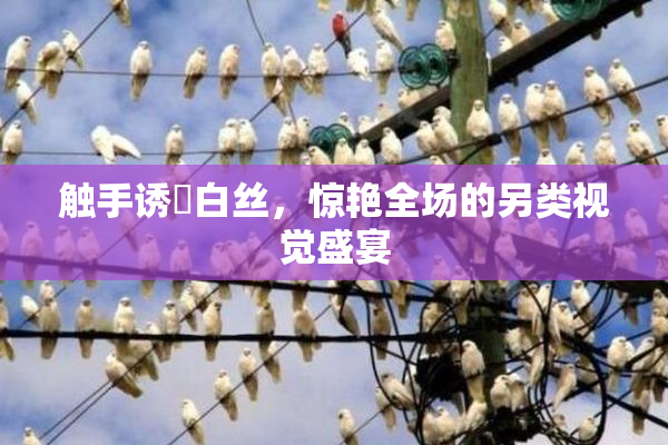 触手诱奷白丝，惊艳全场的另类视觉盛宴
