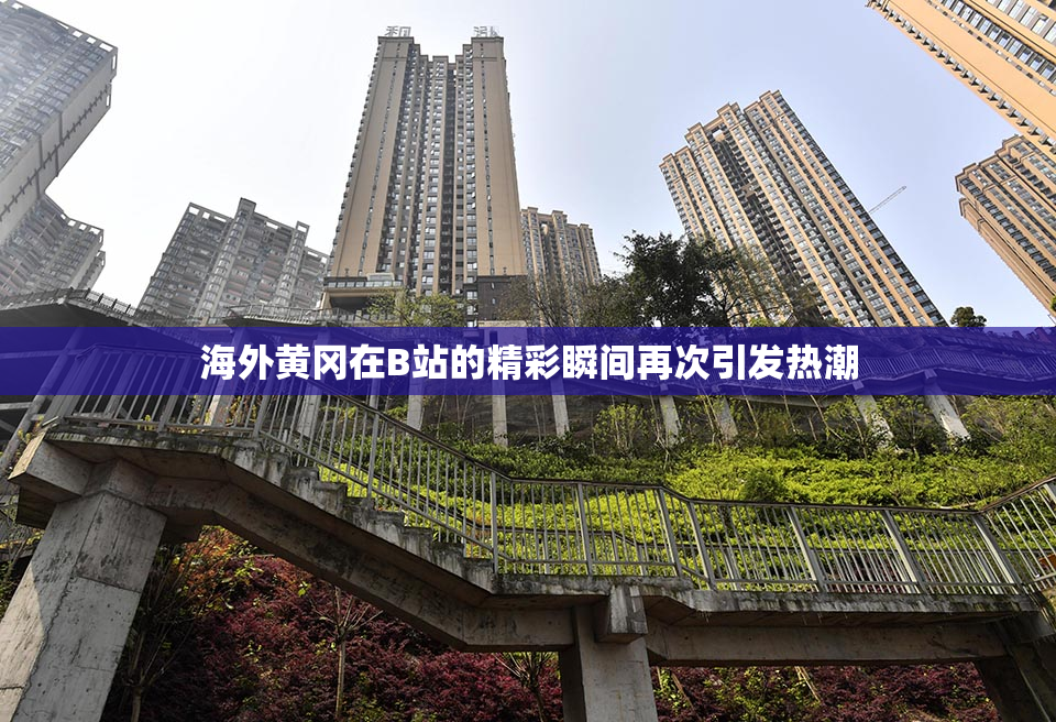 海外黄冈在B站的精彩瞬间再次引发热潮