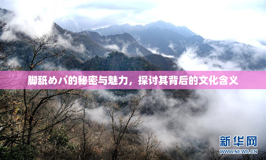 脚舐めパ的秘密与魅力，探讨其背后的文化含义