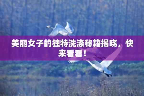 美丽女子的独特洗涤秘籍揭晓，快来看看！