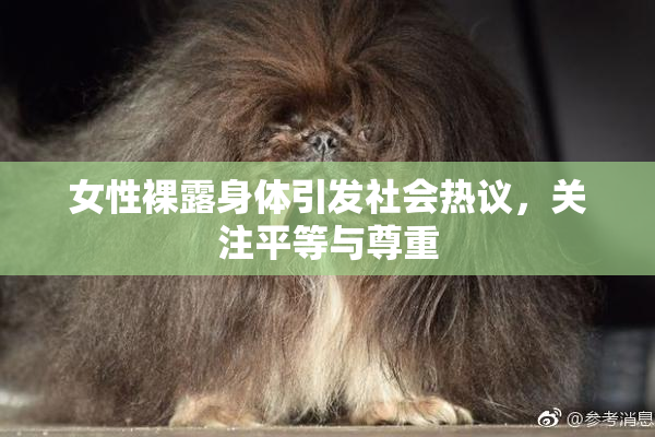 女性裸露身体引发社会热议，关注平等与尊重