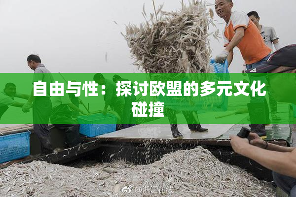 自由与性：探讨欧盟的多元文化碰撞