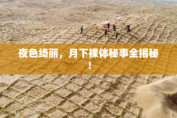 夜色绮丽，月下裸体秘事全揭秘！