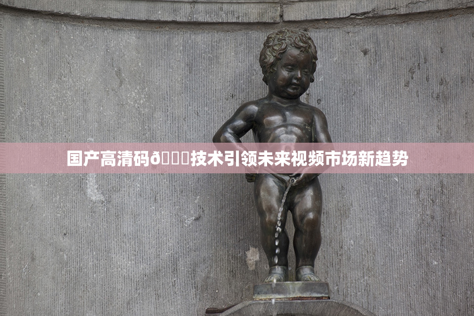 国产高清码🔞技术引领未来视频市场新趋势