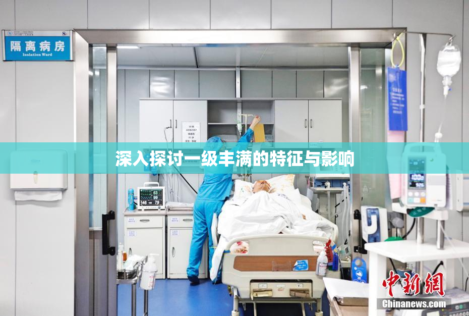 深入探讨一级丰满的特征与影响
