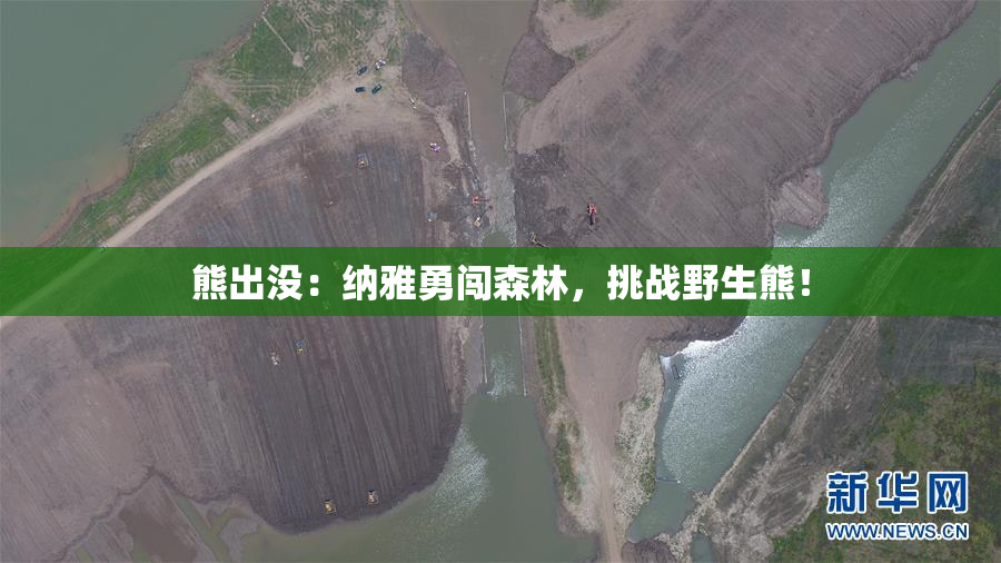 熊出没：纳雅勇闯森林，挑战野生熊！