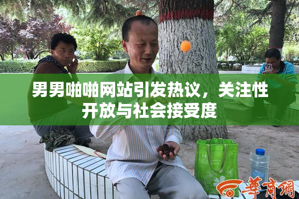 男男啪啪网站引发热议，关注性开放与社会接受度