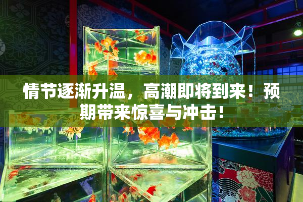 情节逐渐升温，高潮即将到来！预期带来惊喜与冲击！