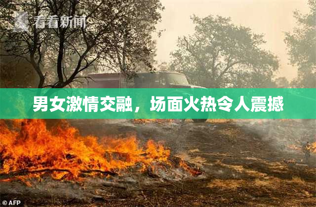 男女激情交融，场面火热令人震撼